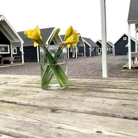 4 Star In 度假居 Thyborøn