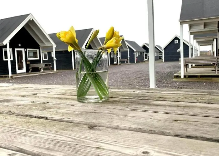 4 Star In 度假居 Thyborøn